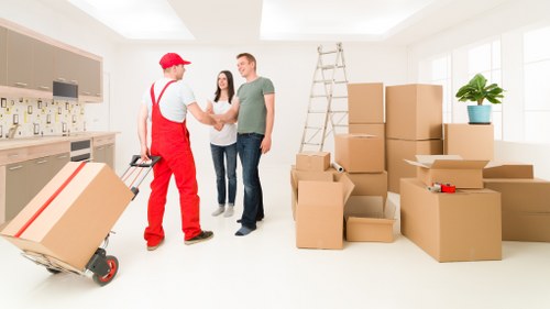 Protective packing materials for fragile items and organisation
