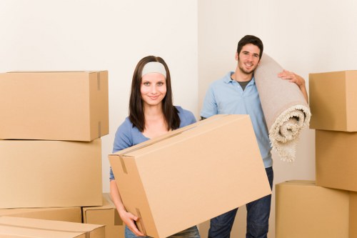 Professional movers handling delicate items during Uxbridge removals